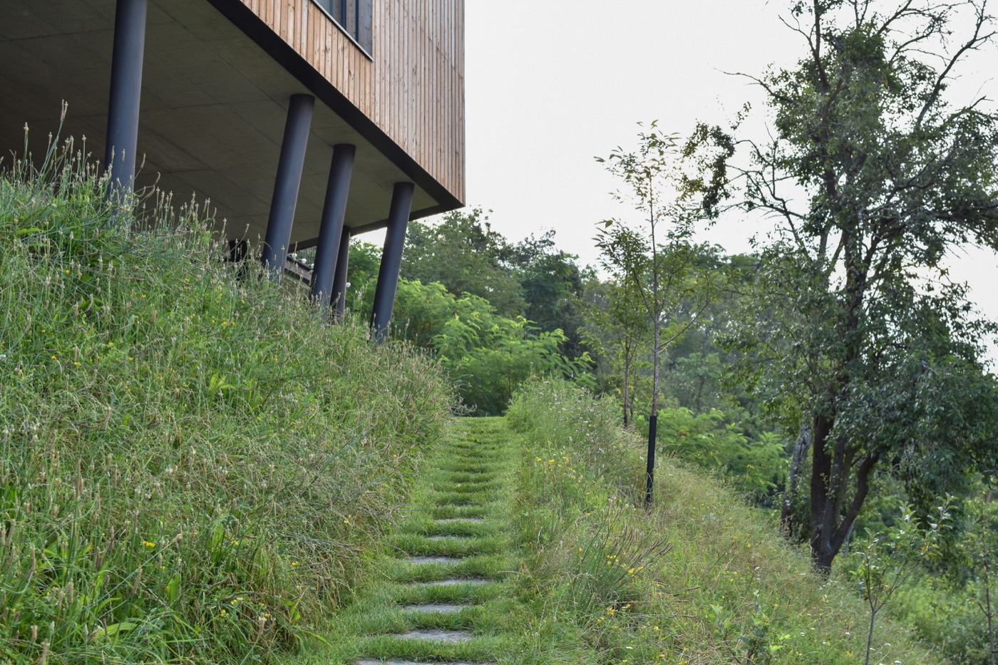 绿色和谐的坡地住宅花园设计丨捷克丨Tomáš Beránek-18