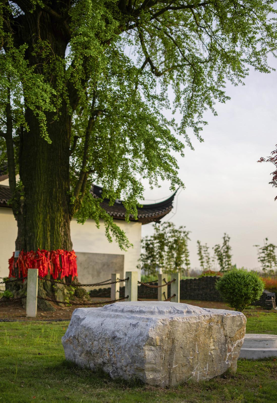 苏州市震泽镇“五美三优”乡村改造丨中国苏州-37