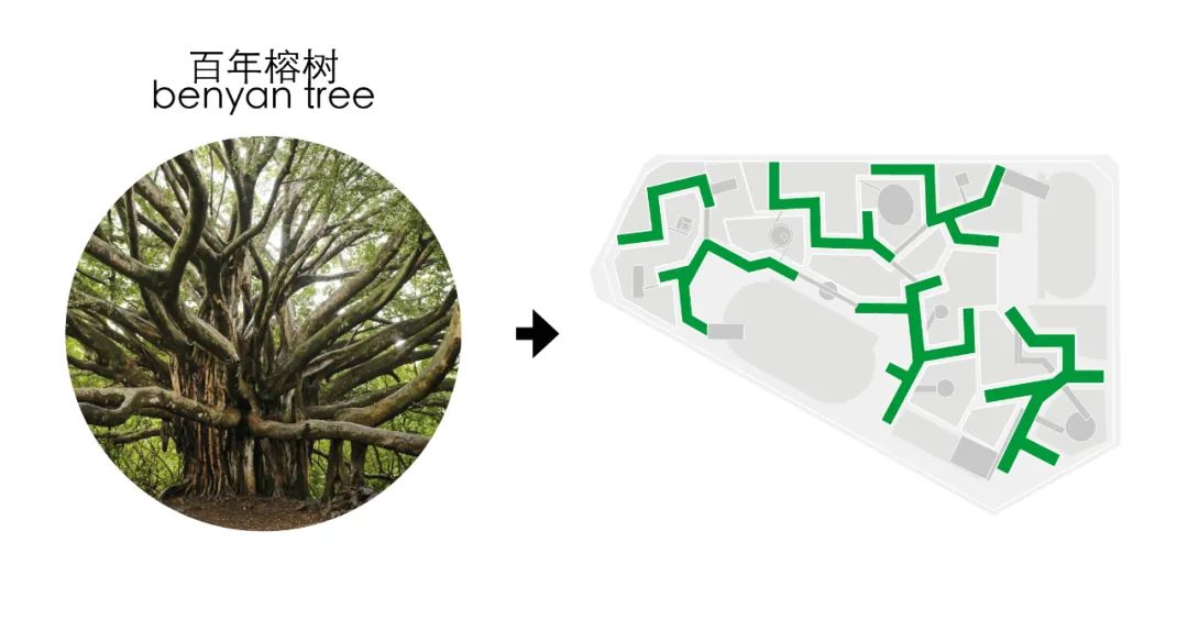 学宗自然·佛山一中顺德学校建设工程全过程设计国际招标丨中国佛山丨JOA开间建筑-15