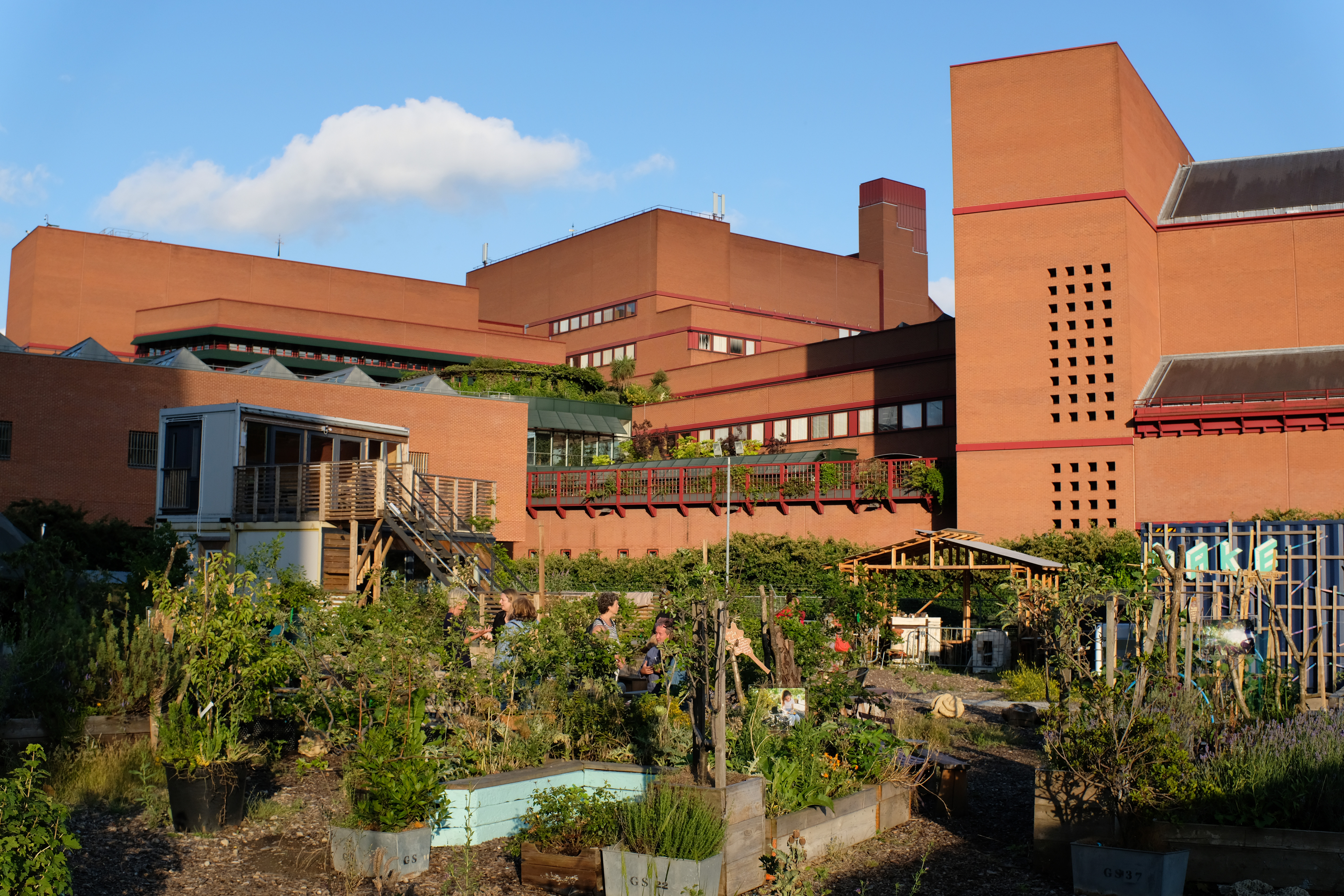 故事花园丨Jan Kattein Architects-18