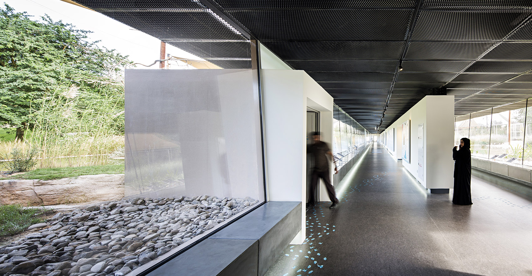 瓦西特自然保护区游客中心,阿联酋 / X Architects-21