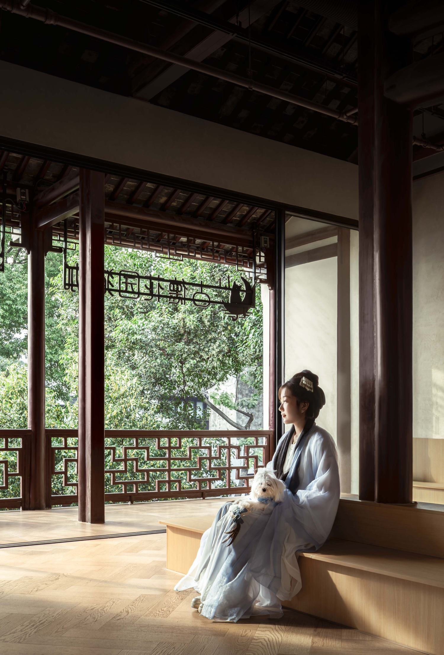 苏州平江老街的萌宠空间丨平介设计-24