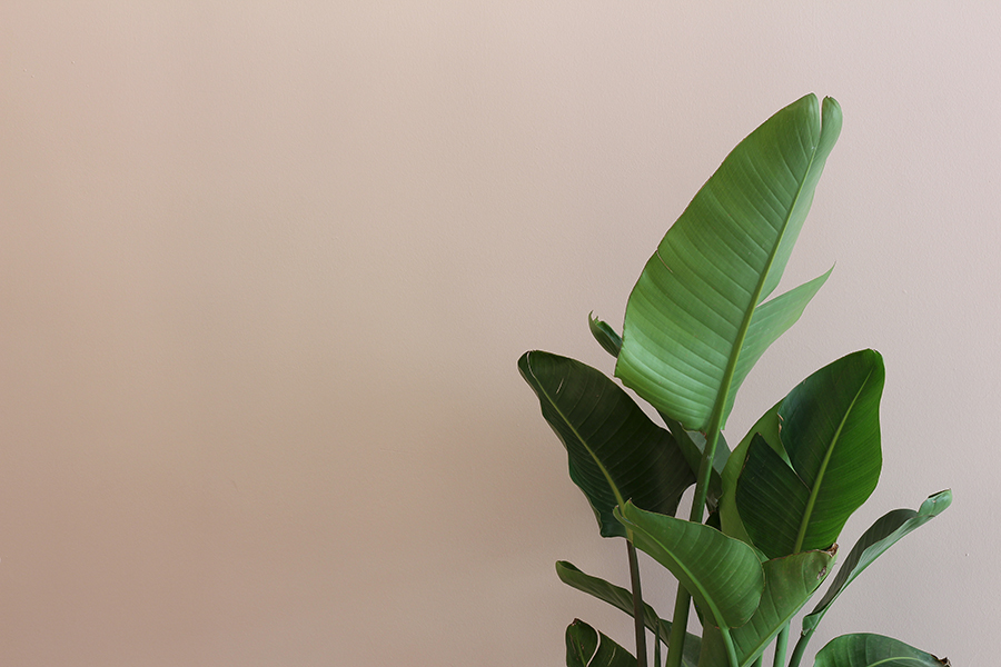 (男人卡鲁索旗舰店)PuccioCollodoro Architetti设计-25