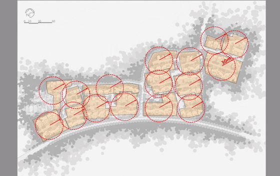 北京桃李春风-30