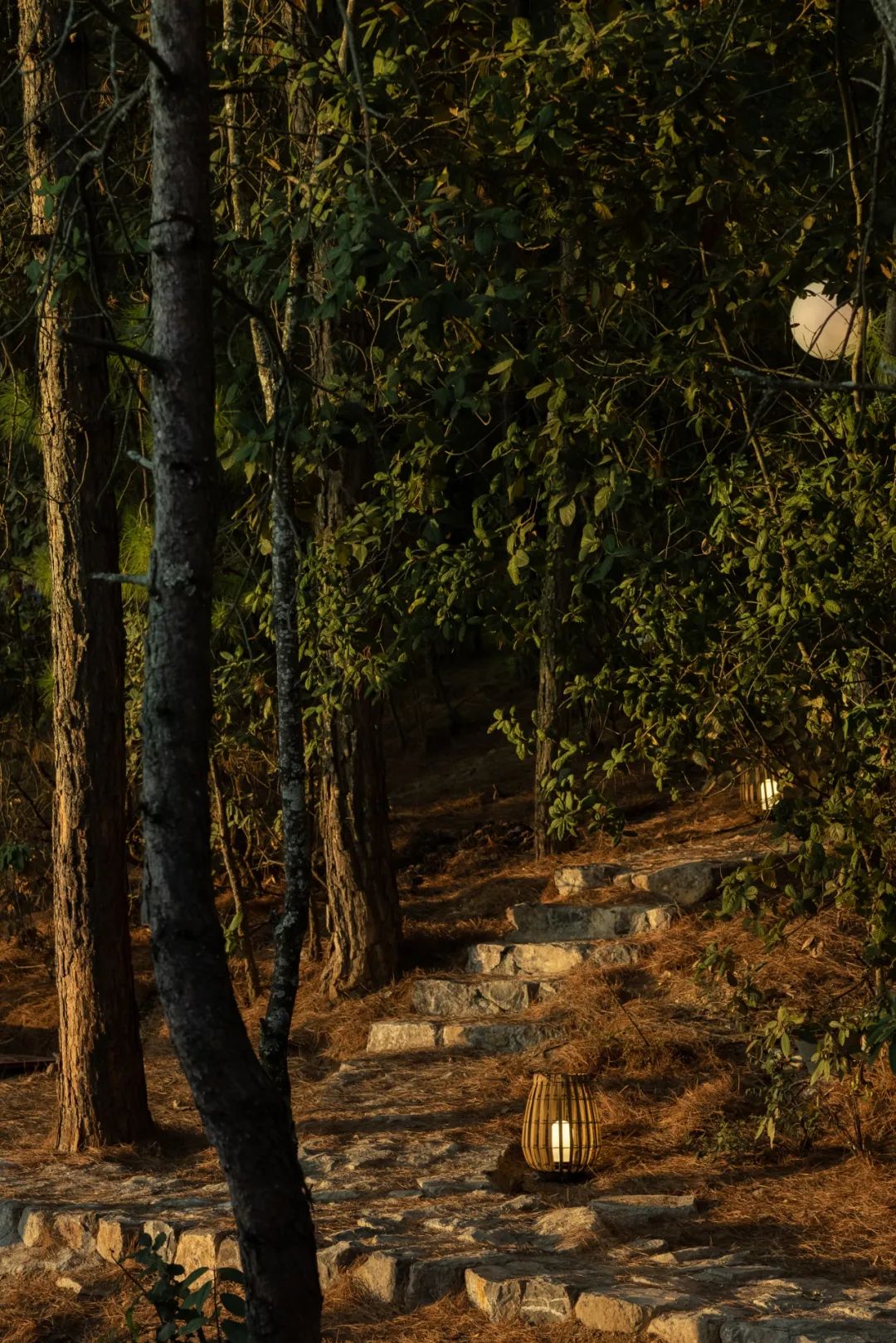 泸沽湖安下山与度假酒店丨中国丽江丨境壹空间设计-72