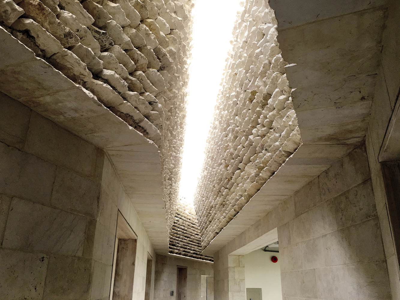 约旦皇家自然保护协会环境学院大楼-56