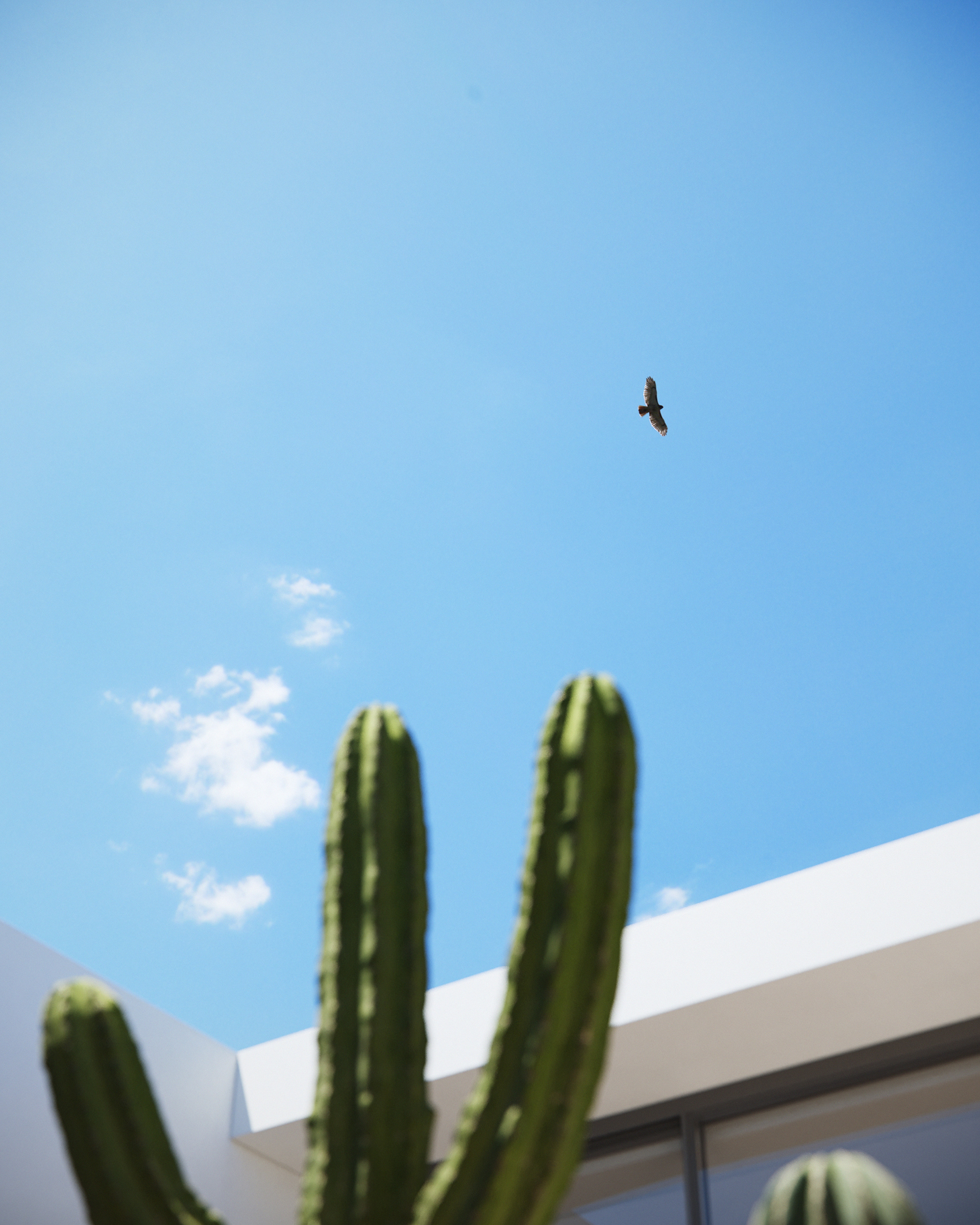 电脑图形图像暑期（注：CGI即Computer Generated Imagery，电脑图形图像，这里CGI SUMMER可能具体结合某些活动、项目等，可根据实际语境调整，更准确的翻译需结合更多背景信息） 丨Yuson Yeh-4