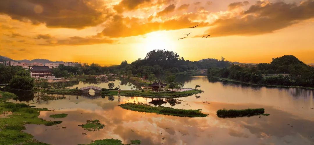 广东云浮新兴凤凰湿地公园丨中国云浮丨普邦设计-37