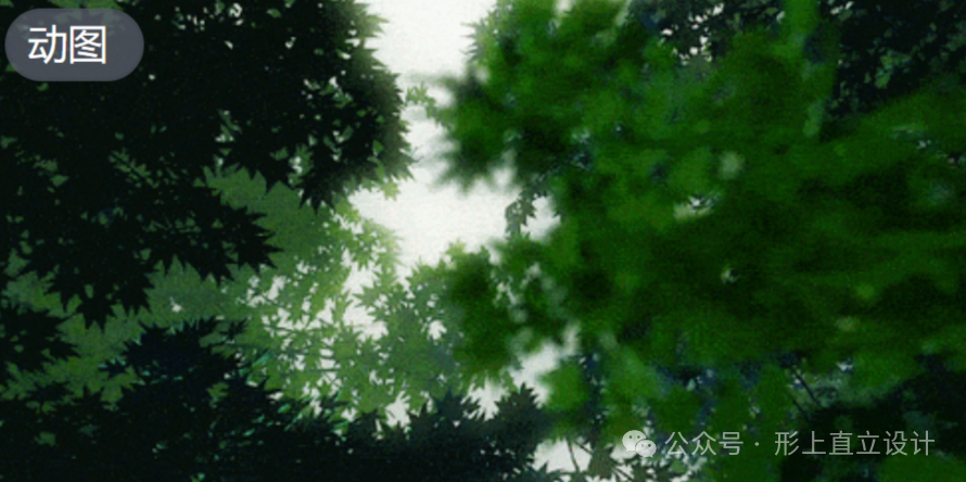 形上直立设计 |  森林礼堂-0