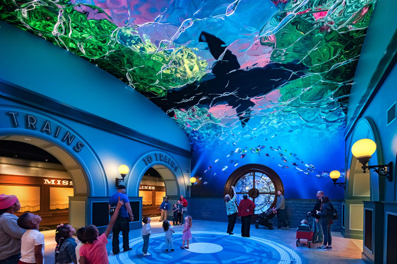 St· Louis Aquarium（圣路易斯水族馆）丨阿根廷圣路易斯-3