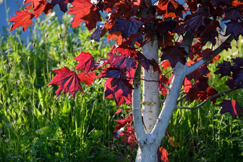 GREENBOX Landschaftsarchitekten丨Neue Spielräume für die soziale Stadt Bernberg丨德国-12