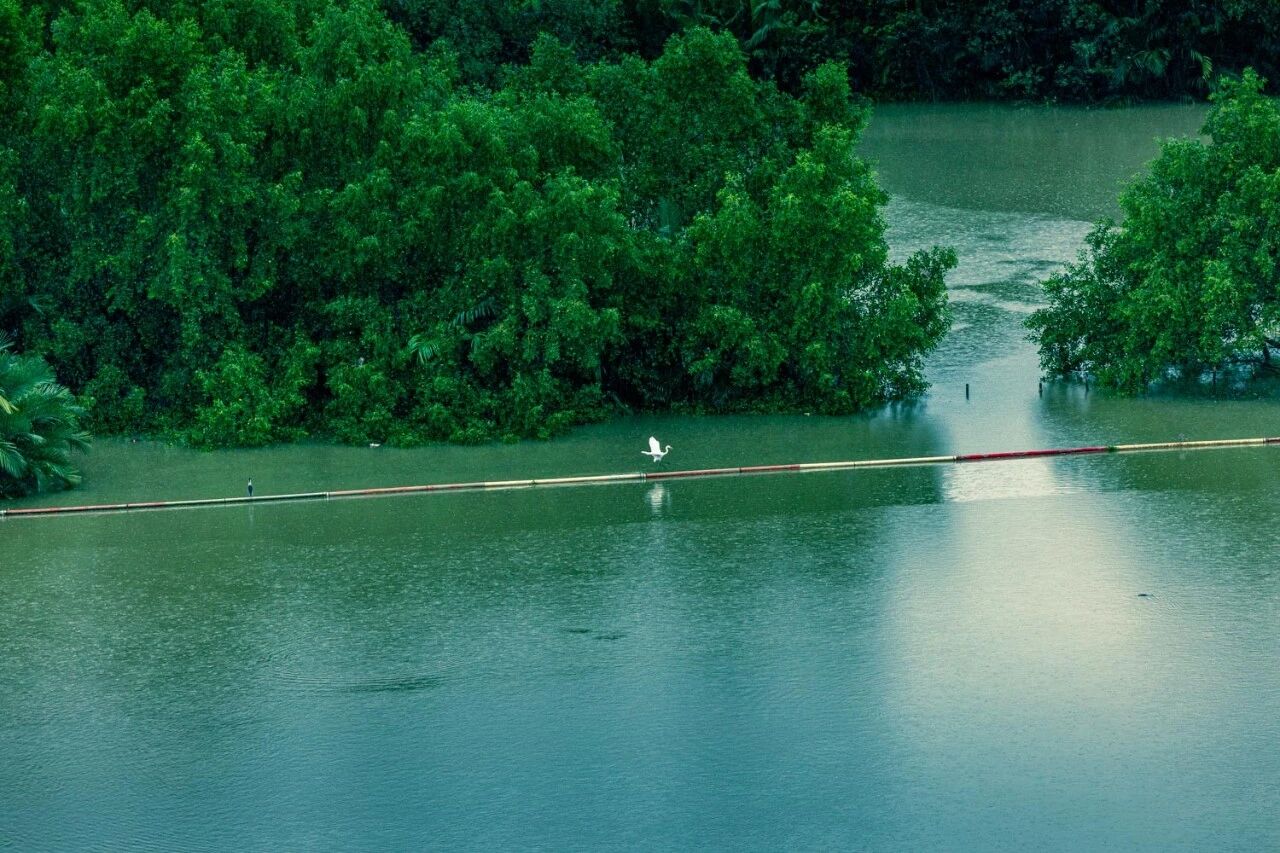 越南富美兴CR2酒店式公寓室内设计丨越南胡志明市丨硬装矩阵纵横,软装矩阵鸣翠-6