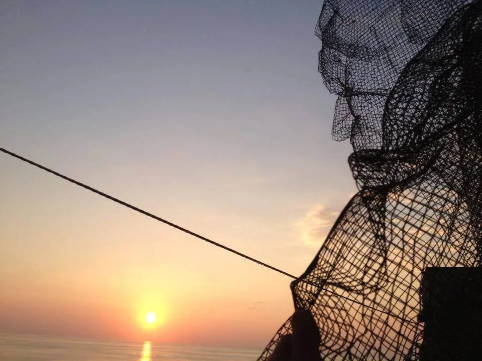 骶骨的;骶部的丨意大利丨Edoardo Tresoldi-140