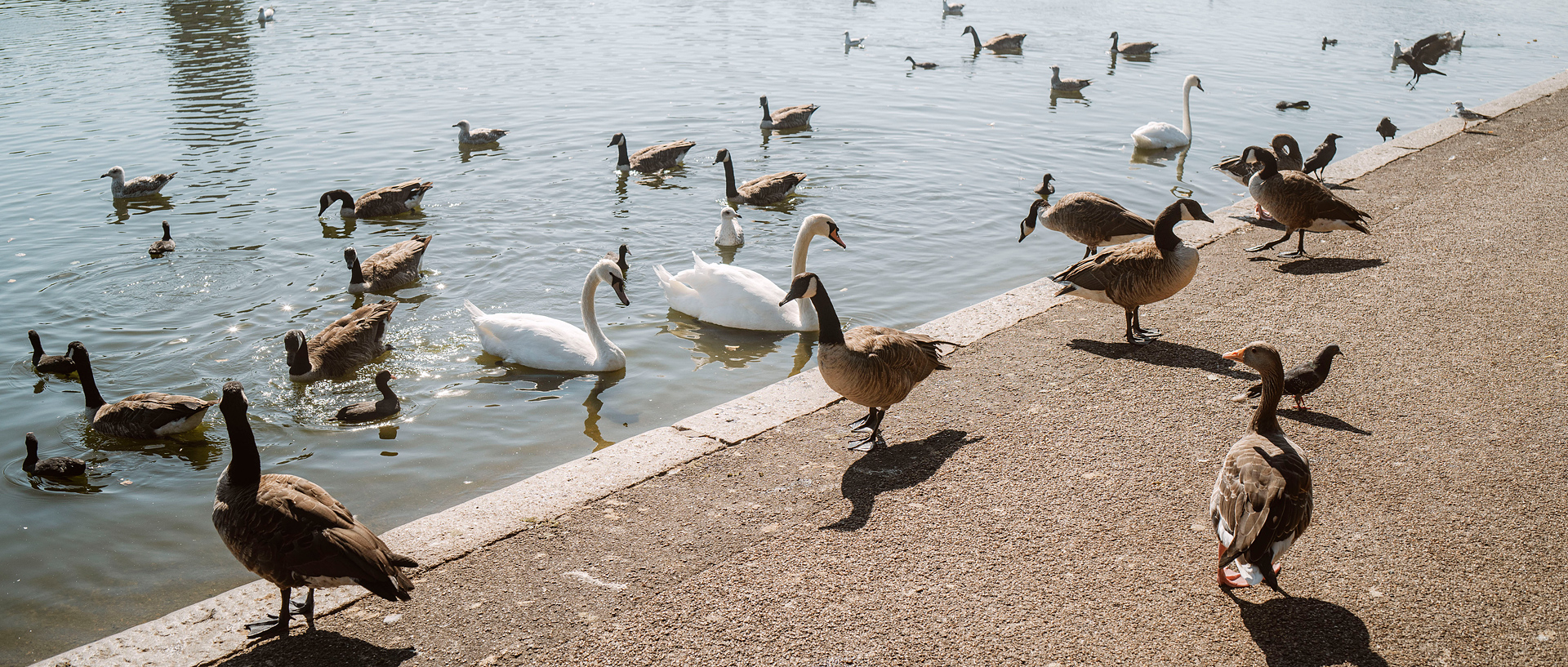 变形伦敦丨United KingdomLondon丨alexanderrentsch-9