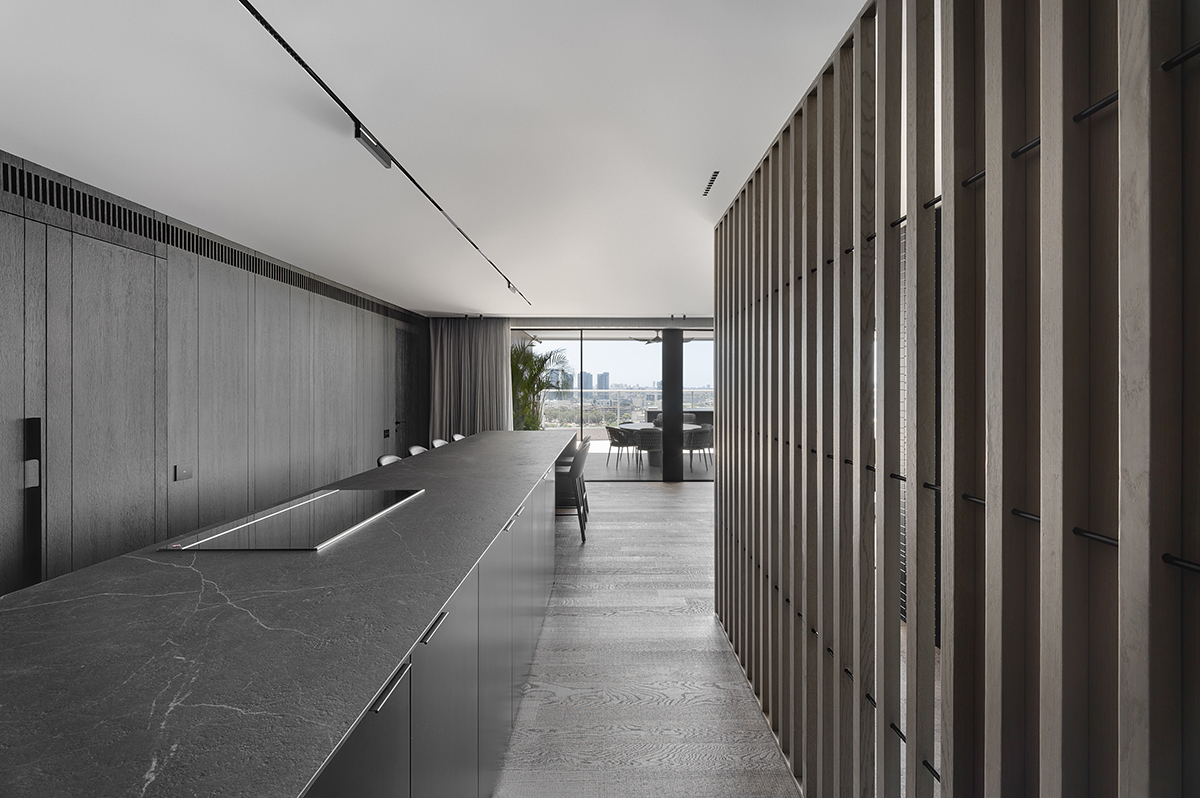 我的房子是我的服装——顶层公寓丨以色列丨Erez Hyatt-31