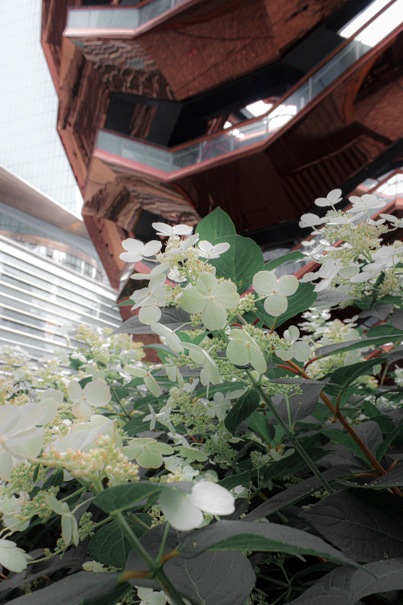 纽约建筑结构摄影丨美国纽约丨John D. Williams-7