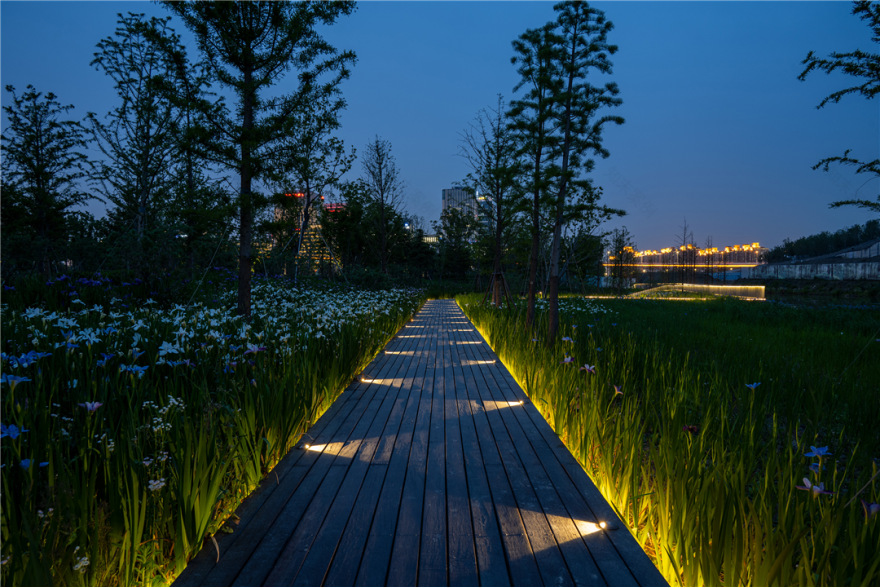 境誉|点亮“优异之光”!上海世博文化公园景观照明荣膺2025年第十届亚洲照明设计奖-180