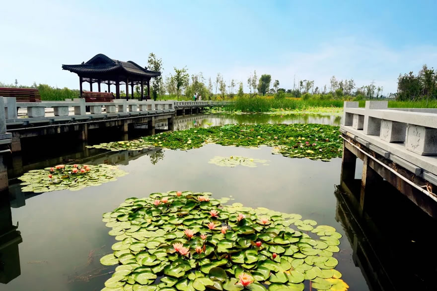 长春北湖国家湿地公园-47