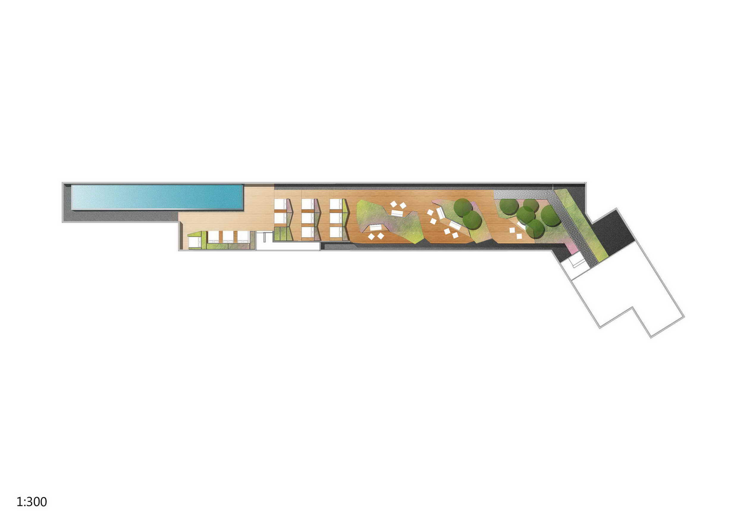 泰国普吉岛 The Deck Patong 公寓 | 融入自然的景观设计-29