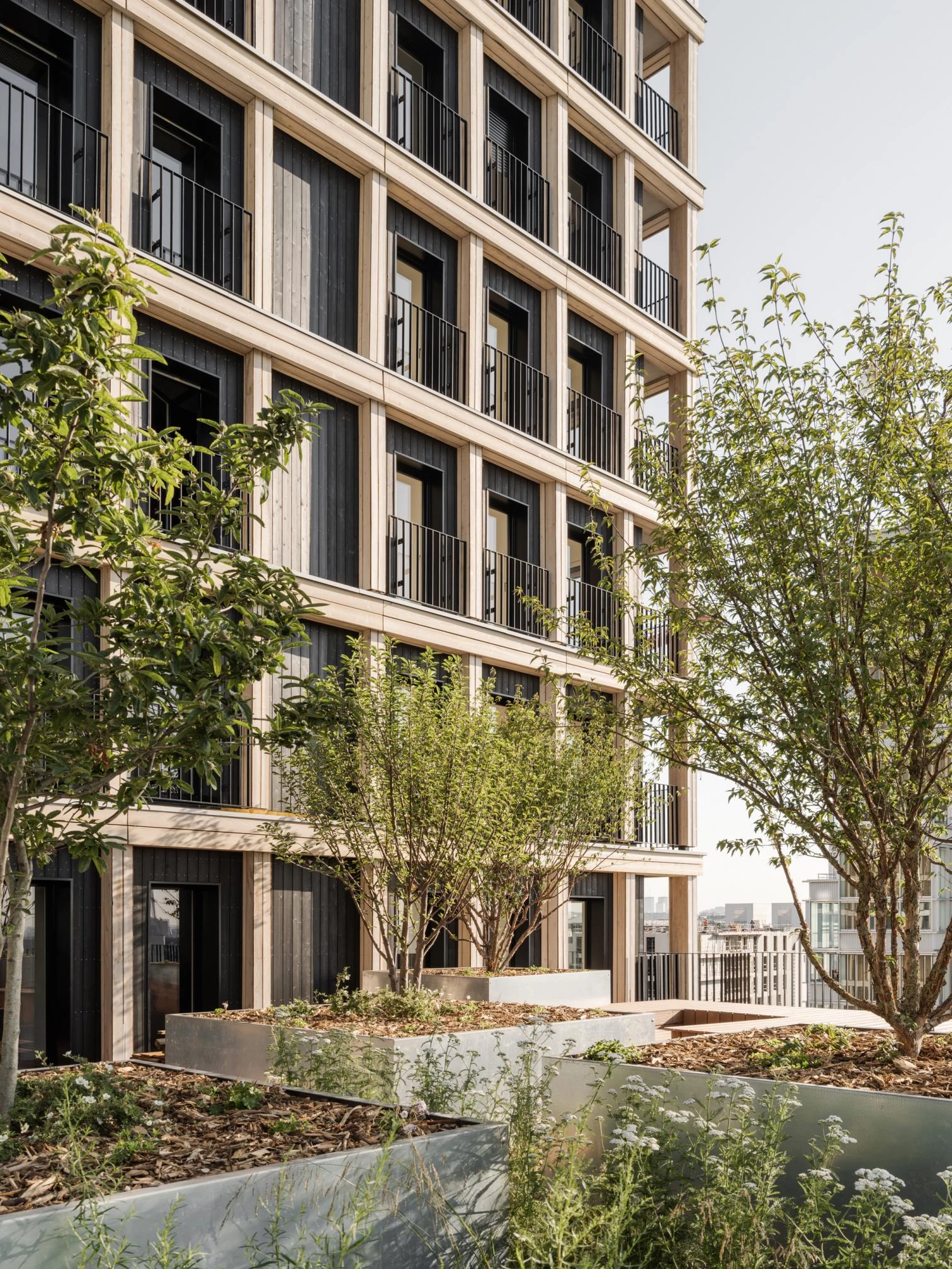 巴黎 Le Berlier 木质住宅楼丨法国巴黎-15