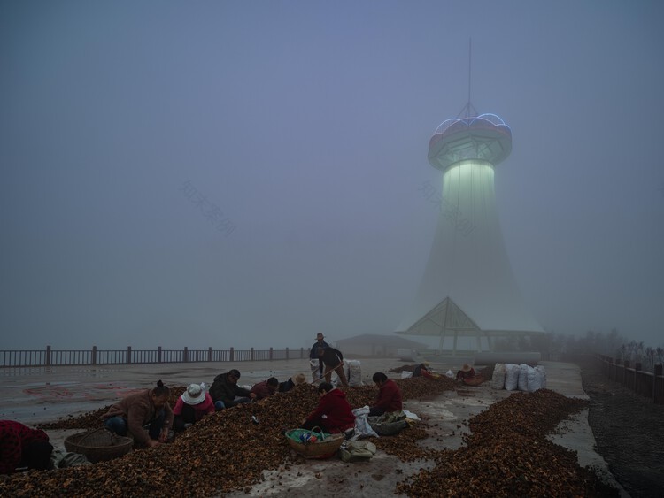 随县农业基础设施改造丨中国湖北丨Qing Studio-33