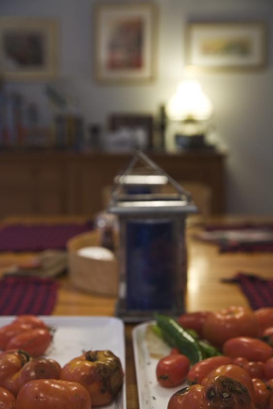 派克郡百年农舍的优雅新生-16