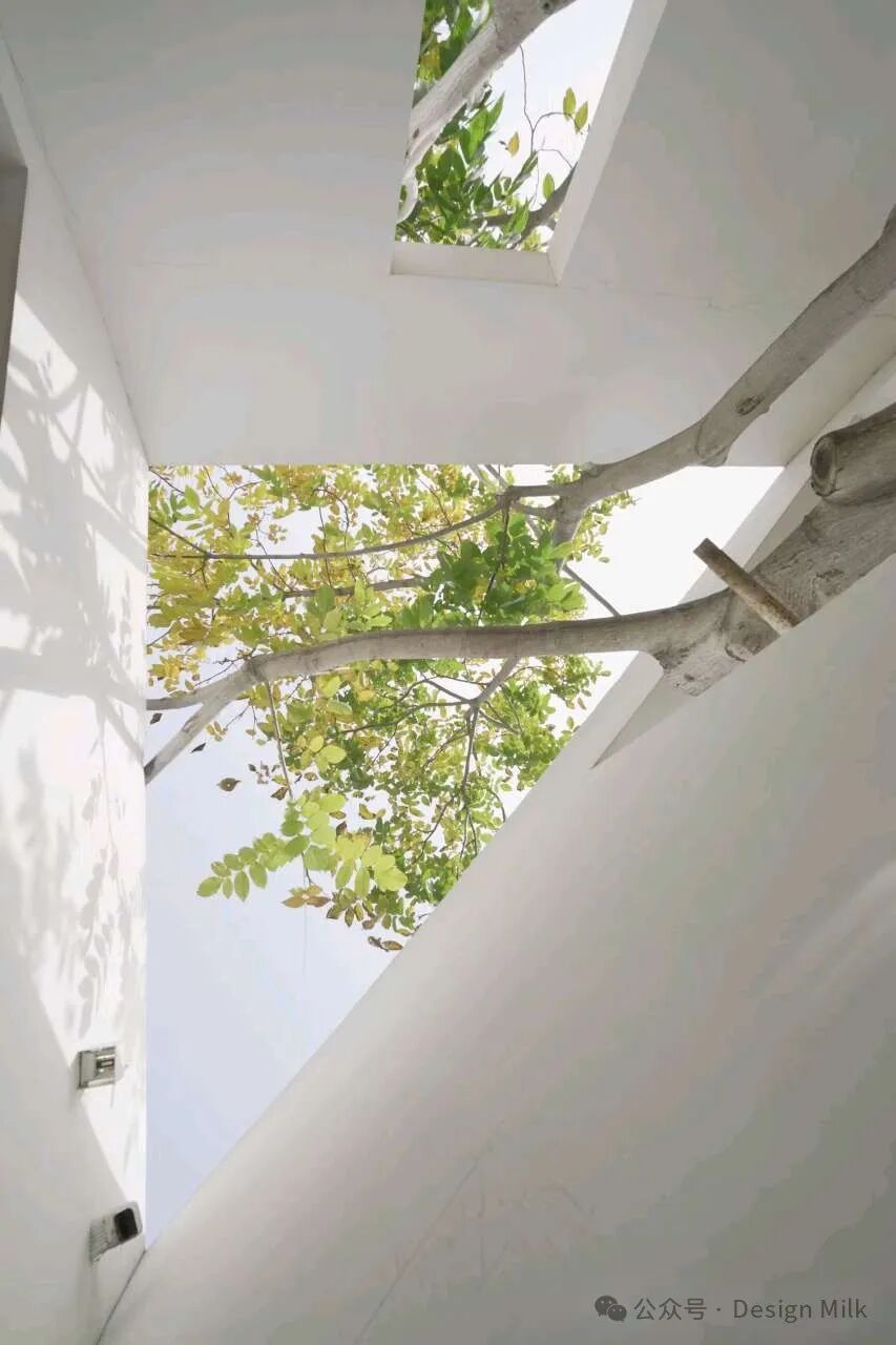 私人野山坡度假别墅-1