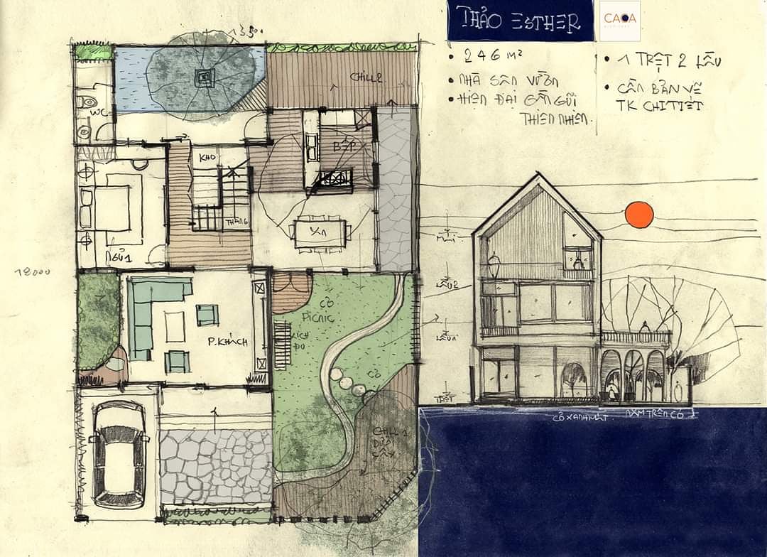 素描帮助专辑-25