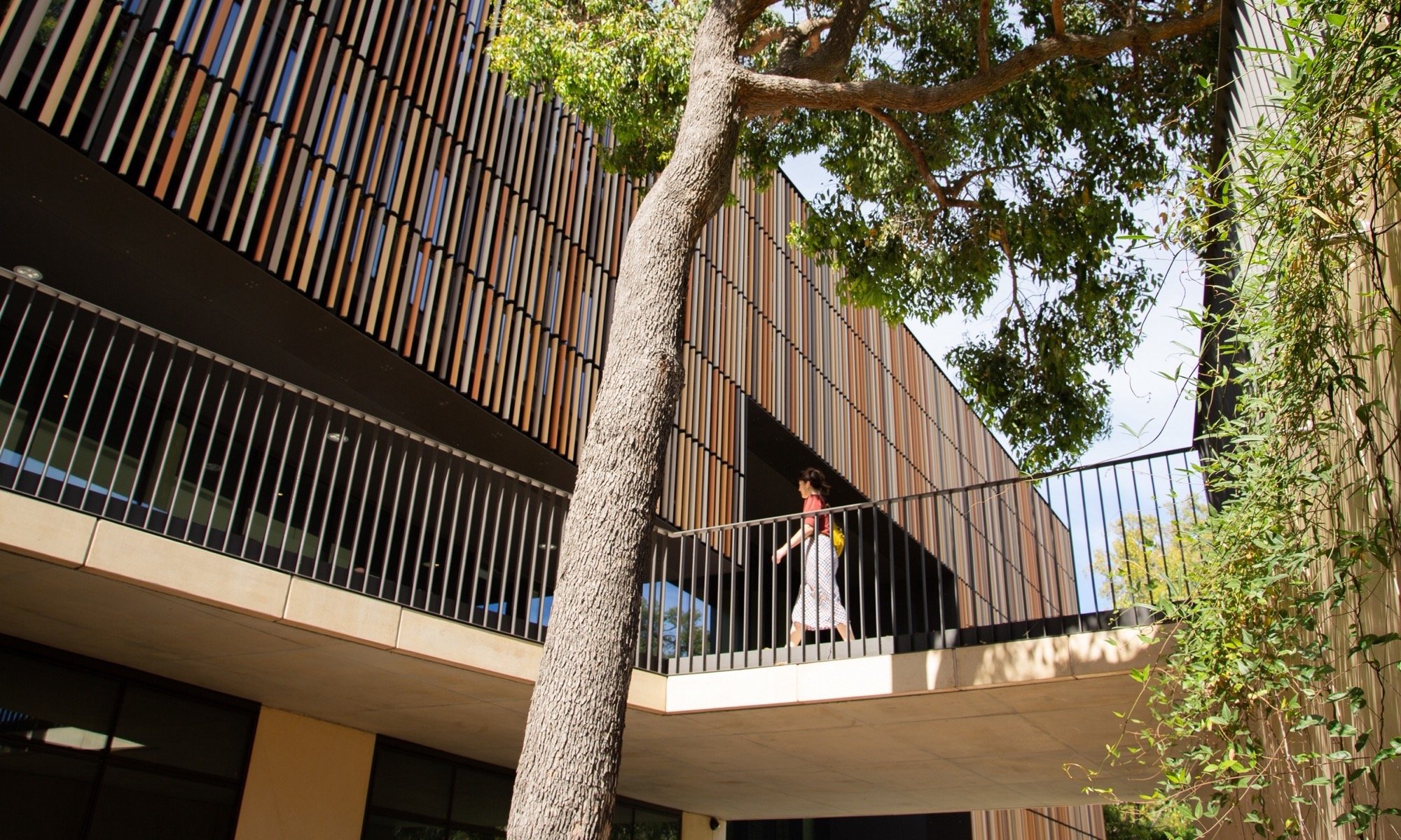 澳大利亚 Bilya Marlee 土著研究学院丨UDLA-24