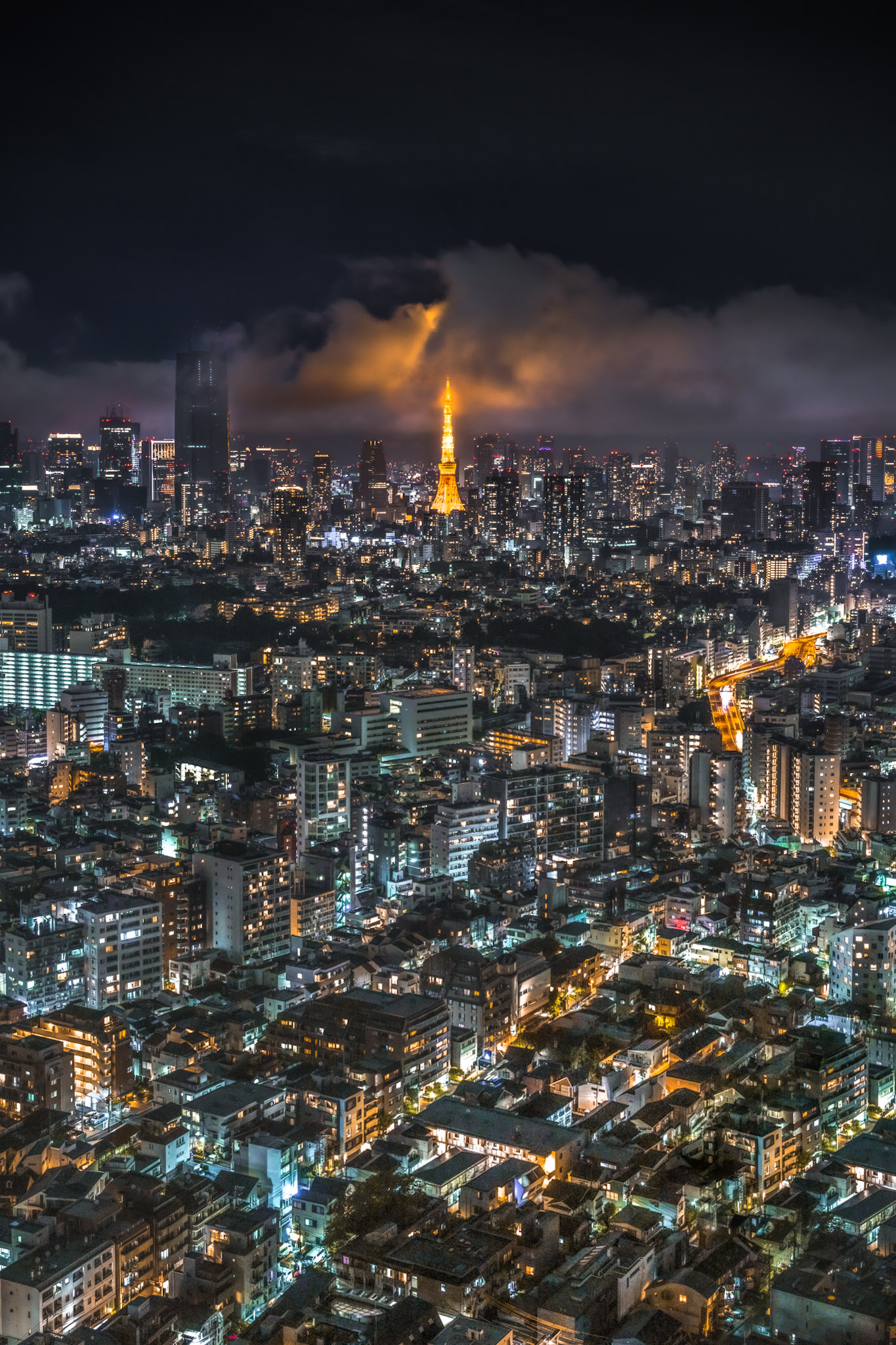 Urban night in Japan-4