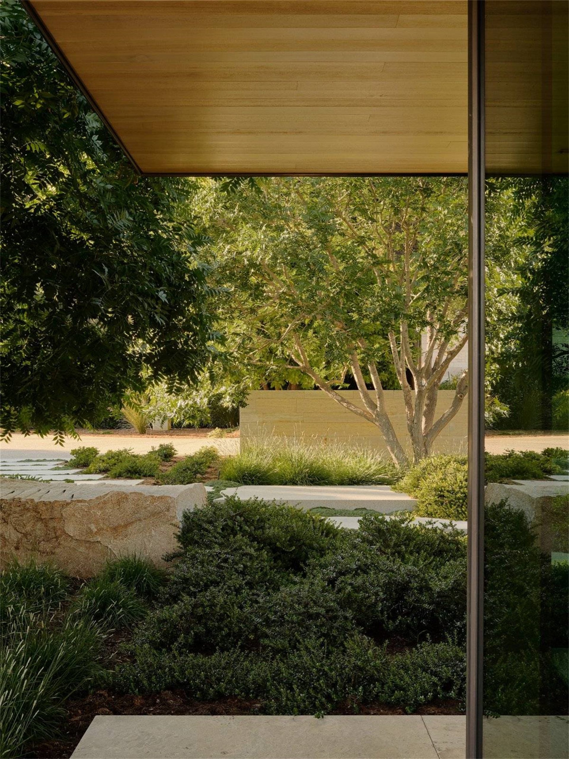 自然生长 · 私宅景观丨美国加利福尼亚-70