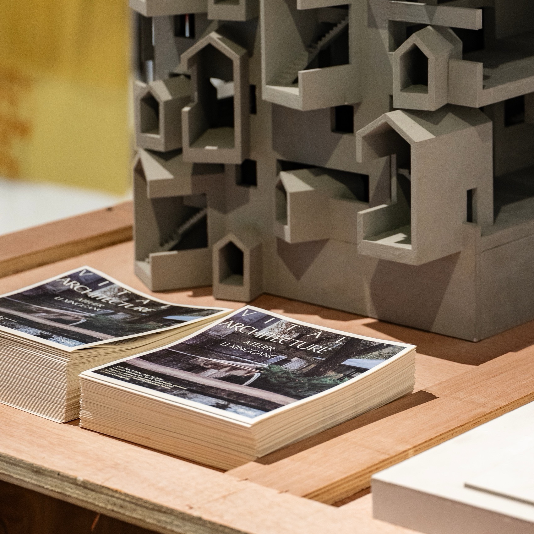 “生境建筑Vital Architecture: Atelier Li Xinggang”展览于柏林Aedes建筑空间开幕-50