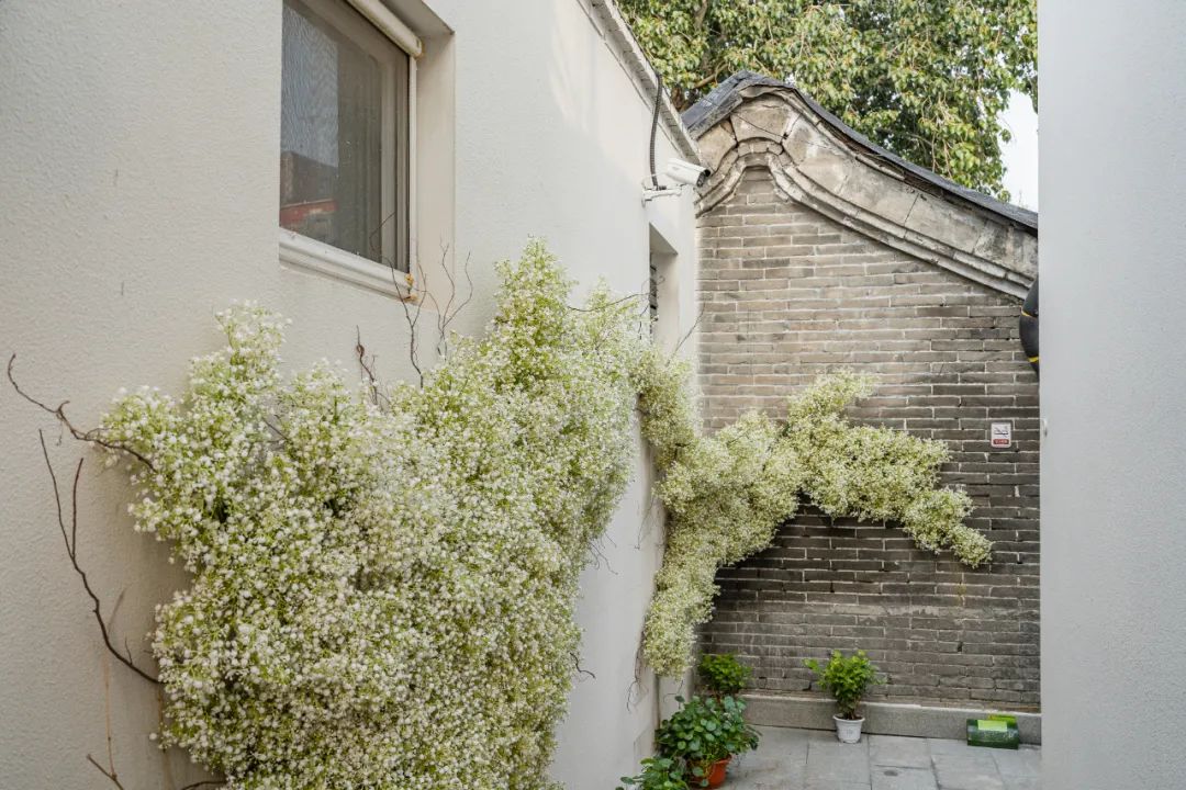 非设计新作 |「闹中取静，简约温馨 」前门葡萄院子酒店-25