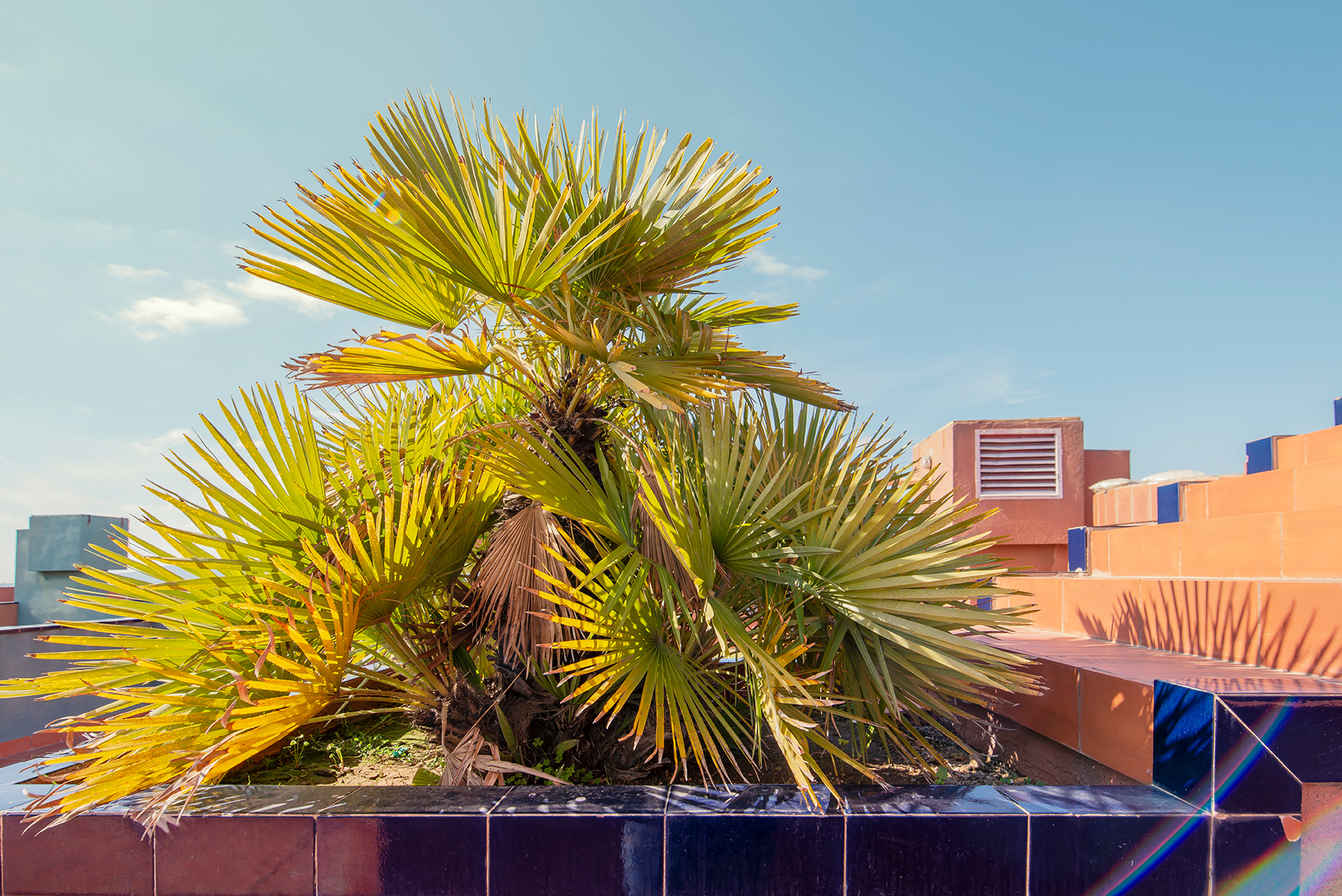 WALDEN 7 再访丨西班牙巴塞罗那丨Ricardo Bofill-23