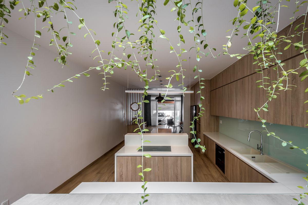 绿色桥梁连接多世代家庭-24