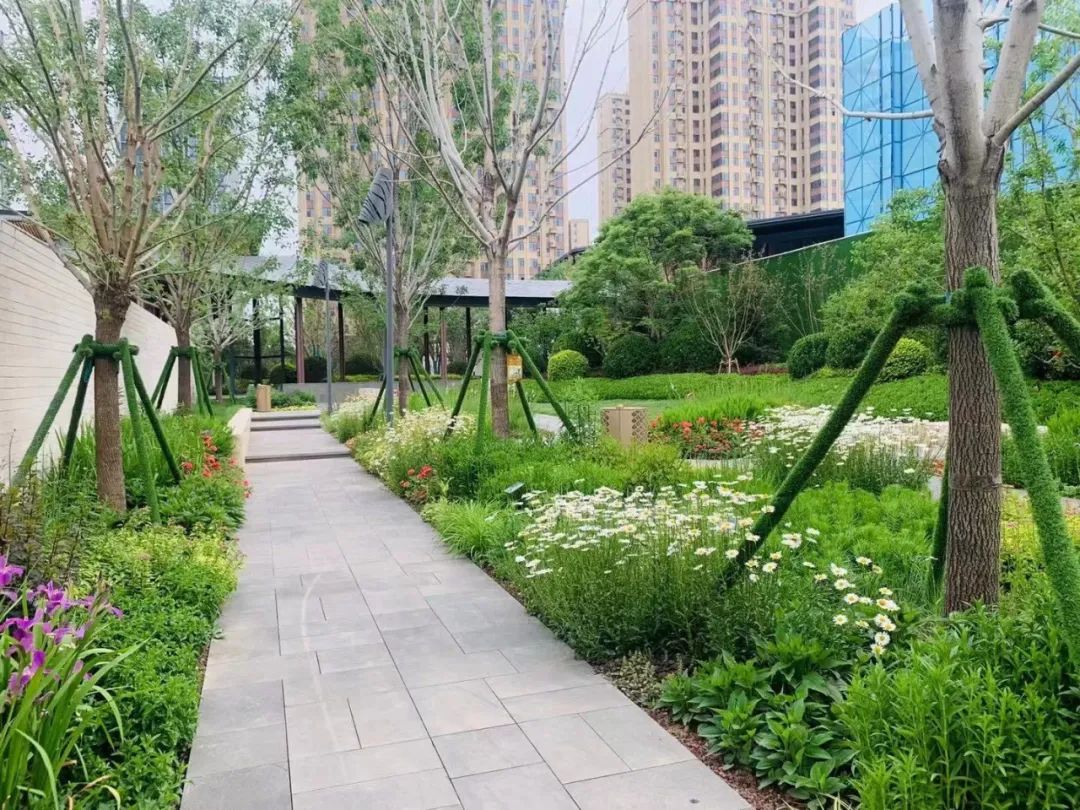 园路列植设计丨上景总工办-43