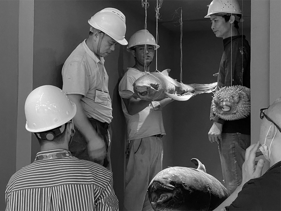 深圳渔业发展建设规划展丨中国深圳丨PILLS工作室-96