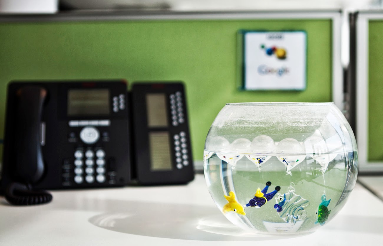 在谷歌的弗罗茨瓦夫的办公室-10