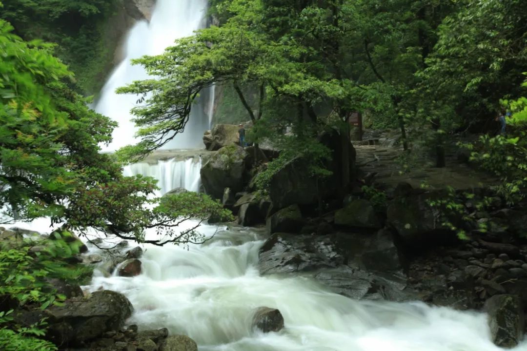 神农谷精品度假酒店——依山傍水，融入自然-5