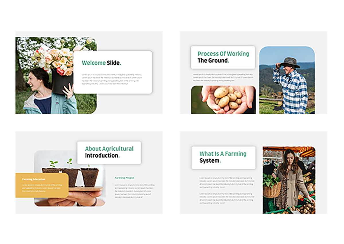 农业演示模板-4