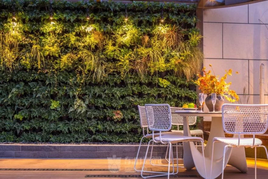 花园植物搭配的艺术与功能-63