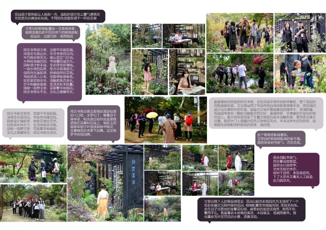 绮云书香|2024粤港澳大湾区花展宝安区城市花园-236