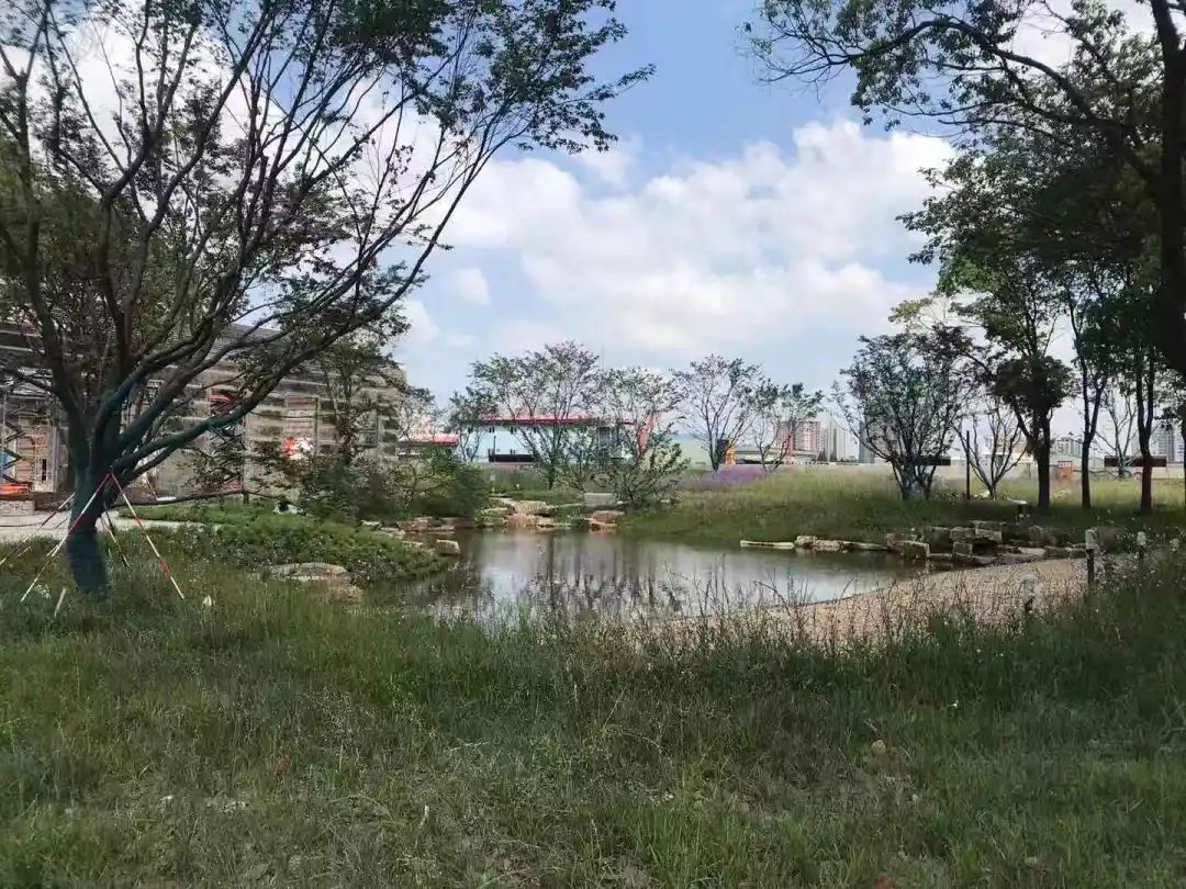 杨树浦六厂滨江公共空间更新·电站辅机厂东厂丨中国上海丨刘宇扬建筑事务所-222