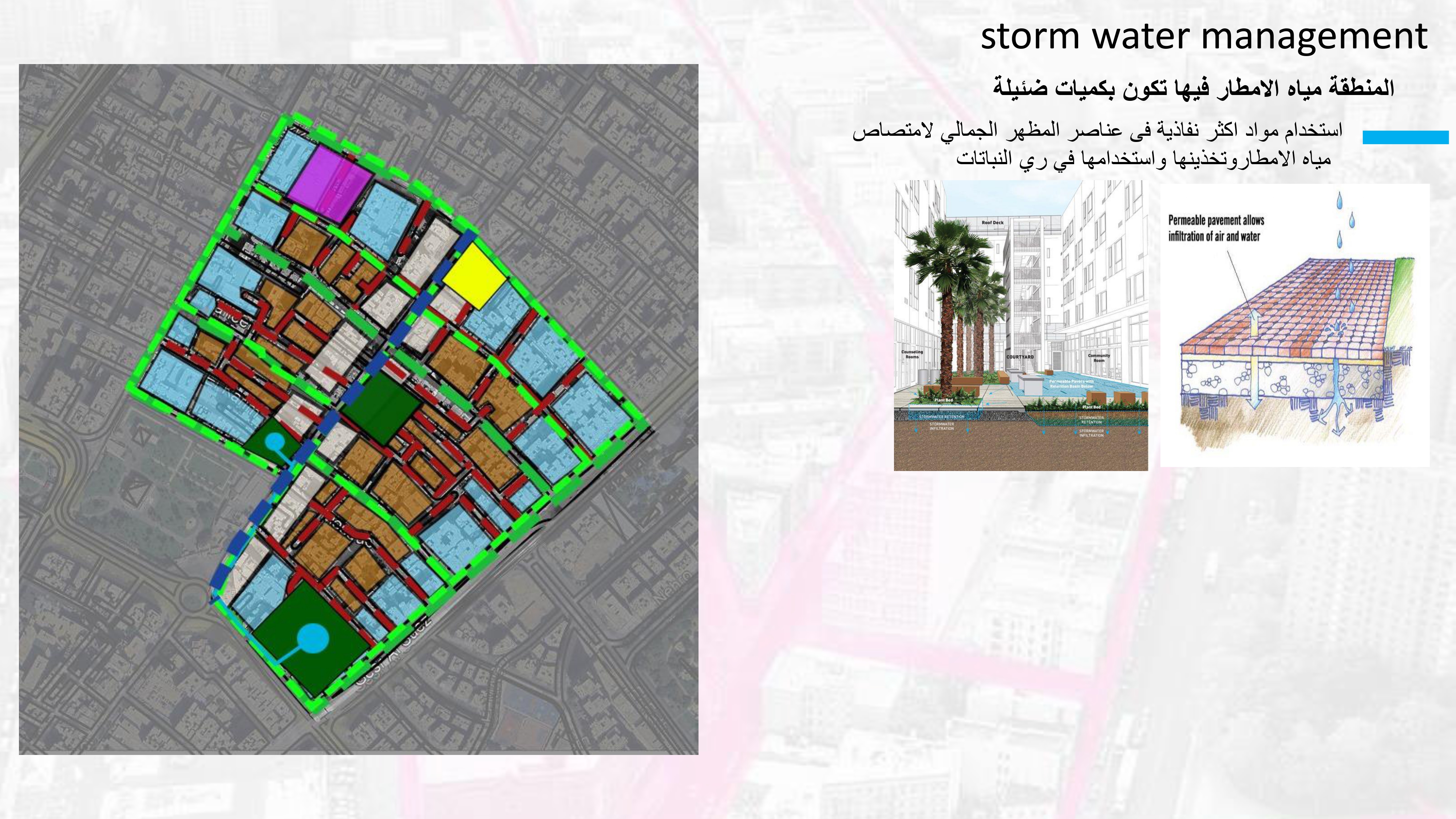مشروع تحقيق مبادئ التنمية المستدامة بالزيتون القاهرة-25