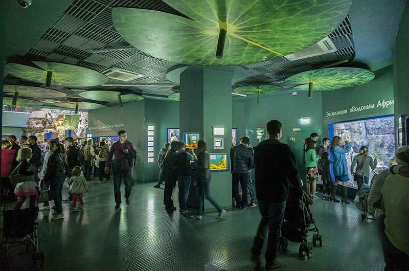 “Moskvarium”海洋馆丨俄罗斯莫斯科丨Aqua Logo Engineering-66