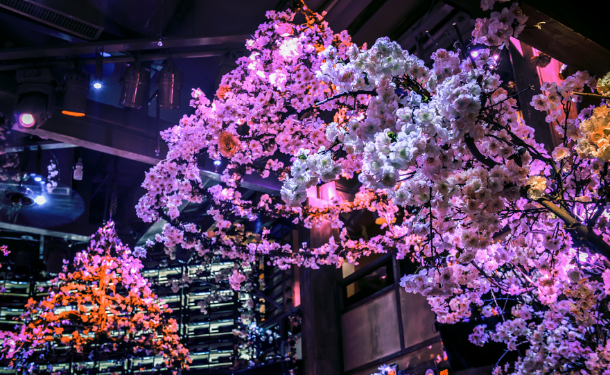 繁花酒吧 | 现代东方夜生活的新诠释-24