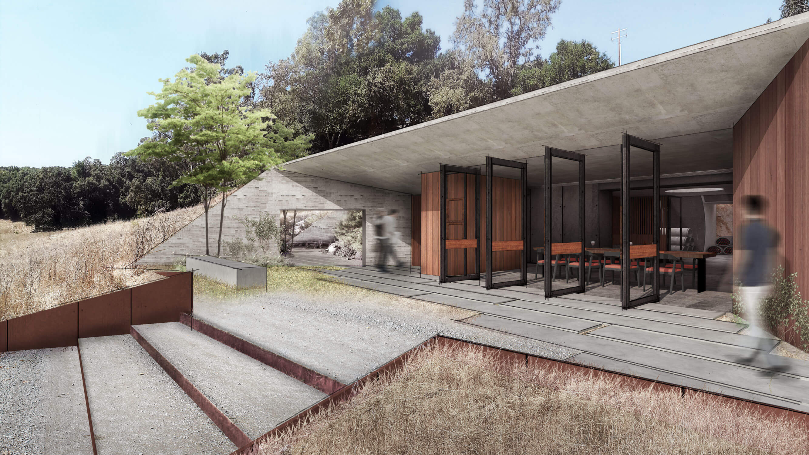 Wine Library | Clayton Korte-9