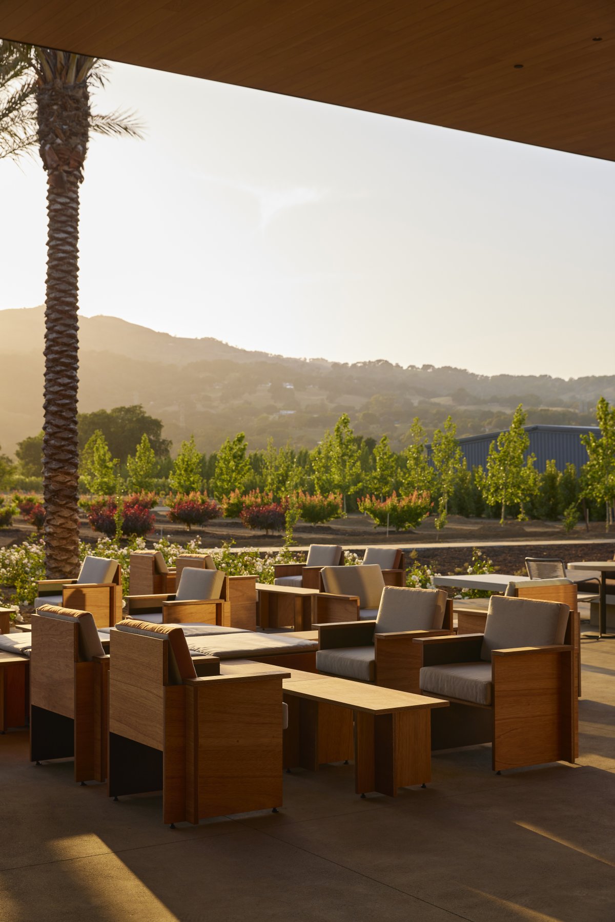 CaymusSuisun 酒庄丨Bohlin Cywinski Jackson-20