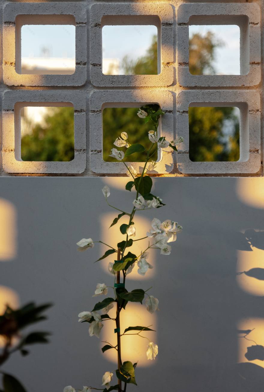 A House with Four Gardens / draftworks architects-33