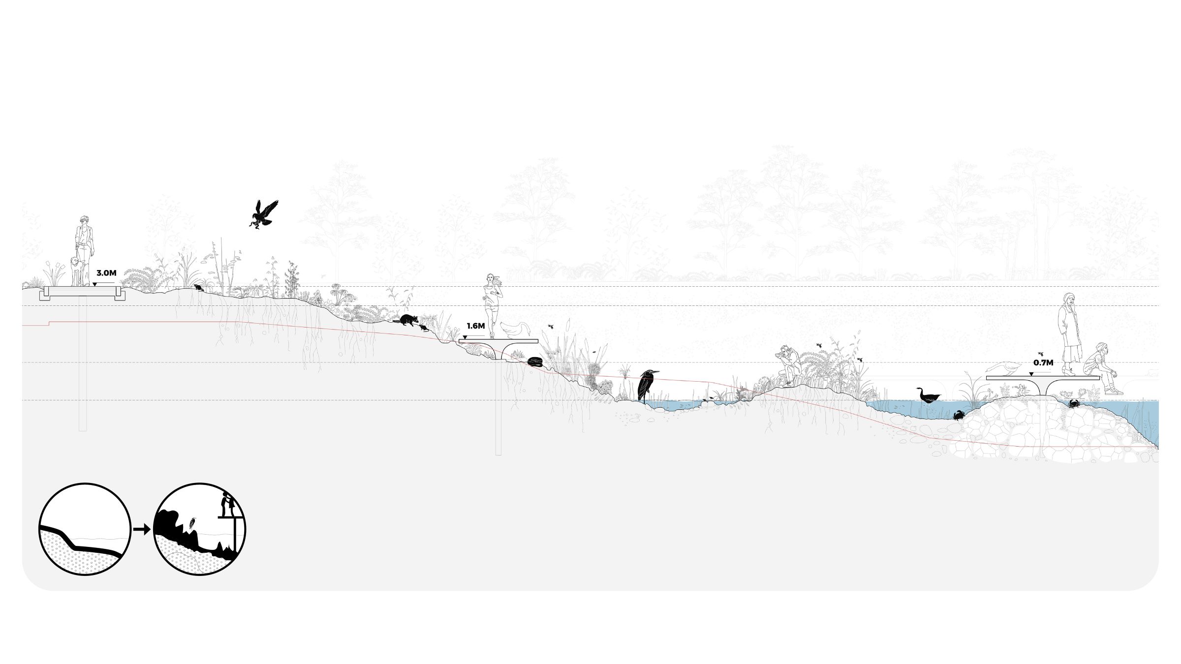 未来公园 · 沿海小径的防洪策略与生态修复-16